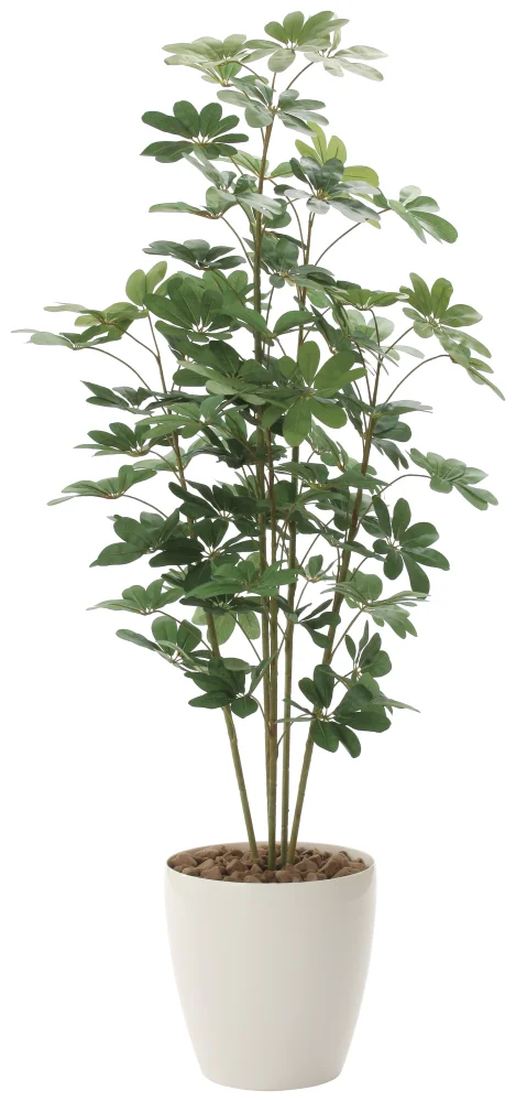 光触媒 人工観葉植物 造花 カポック 1.8 (高さ180cm) (158K365
