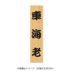 手書き文字料金  (W46119)