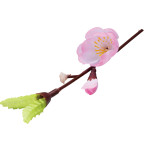 四季の花ごよみ  梅 (100個入)  (W64250)