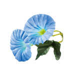 四季の花ごよみ  朝顔(ブルー)(100個入)  (W64336)