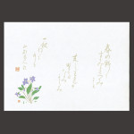 尺4無蛍光紙懐石まっと 万葉 菫(すみれ)   (100枚入)  (W64531)