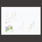 尺4無蛍光紙懐石まっと 万葉 朝顔  (100枚入)  (W64532)