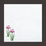 5寸グルメ敷紙 菖蒲  (100枚入)  (W64765)