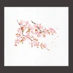 遠赤保鮮紙(小)桜  (100枚入)  (W64560)