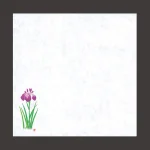 四季耐油天紙(小)菖蒲 (100枚入)  (W64916)