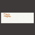お料理四季紙 柿  (100枚入)  (W64994)