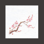 4寸OP懐石敷紙  梅  (100枚入)  (W65110)
