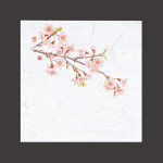 4寸OP懐石敷紙 桜  (100枚入)  (W65111)