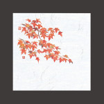 4寸OP懐石敷紙 紅葉  (100枚入)  (W65119)