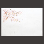 尺5雲竜和紙懐石まっと 四季 桜  (100枚入)  (W65183)