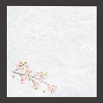 新・濡れ奉書紙 桜  (100枚入)  (W65392)
