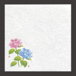 新・濡れ奉書紙  紫陽花  (100枚入)  (W65397)