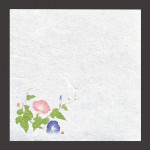 新・濡れ奉書紙 朝顔  (100枚入)  (W65402)