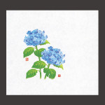 遠赤保鮮紙 (大) 紫陽花 (100枚入)  (W65496)