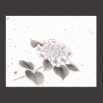 4x5寸花風情 紫陽花  (100枚入)  (W65970)