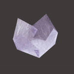 両面ラミ正角珍味入 藤雲竜 (200枚入)  (W66304)