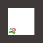 ミニ耐油天紙 朝顔 (100枚入)  (W66359)