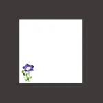 ミニ耐油天紙 桔梗 (100枚入)  (W66360)
