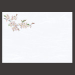 尺3雲竜和紙懐石まっと 花彩(はなさい) 桜  (100枚入)  (W66429)
