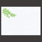 尺3雲竜和紙懐石まっと 花彩(はなさい) 青もみじ  (100枚入)  (W66430)