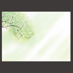 尺3四季彩まっと 花雅(はなみやび) 梅  (100枚入)  (W66450)
