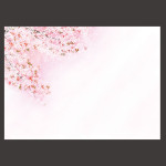 尺3四季彩まっと 花雅(はなみやび) 桜  (100枚入)  (W66451)
