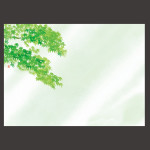 尺3四季彩まっと 花雅(はなみやび) 青もみじ  (100枚入)  (W66452)