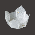 両面OP珍味入(大B)白雲竜 (100枚入)  (W66656)