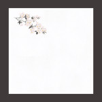 花宴耐油天紙 桜 4寸 (100枚入)  (W68605)