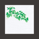 4寸OP懐石敷紙 青もみじ  (100枚入)  (W68757)