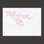 四季彩鮮度保持紙 桜 (100枚入)  (W69003)