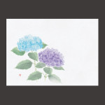 四季彩鮮度保持紙 紫陽花 (100枚入)  (W69007)