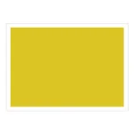 ゼッケンステッカー背中用