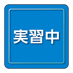 ユニピタ 小サイズ 実習中 (849-84)