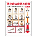 熱中症の症状と分類 (HO-313A)