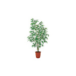 タケツリー 2100 鉢ナシ本体 (40088***)