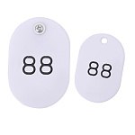 スチロールペアチケット