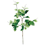 【2026年夏】スプレイホップ (No182-19)