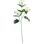 【2026年夏】プルメリアスプレイ ホワイト (No182-19)