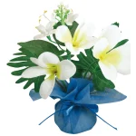 【2026年夏】ミニミニポットプルメリア (No182-20)