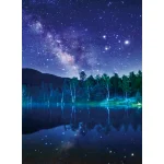 【2026年夏】バックスクリーンシート 夏の大三角 (No182-5)