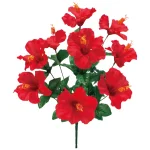 【2026年夏】ハイビスカスブッシュ (No182-19)