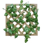 【2026年夏】グリーンラティス ポトス (No182-9)