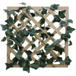 【2026年夏】グリーンラティス イングリッシュアイビー (No182-9)