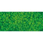 【2026年夏】ディスプレイシート クローバー (No.056243)