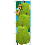 のぼり旗 西洋なし 絵旗 -1 (21406)