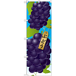 のぼり旗 ぶどう 絵旗 -1 (21408)