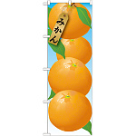 のぼり旗 みかん 絵旗 -1 (21411)