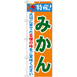 のぼり旗 特産!みかん (21478)