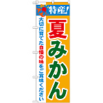 のぼり旗 特産!夏みかん (21479)